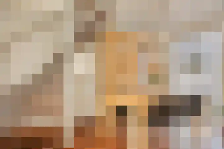 Oude Maar 26 Kerkrade thumbnail 9