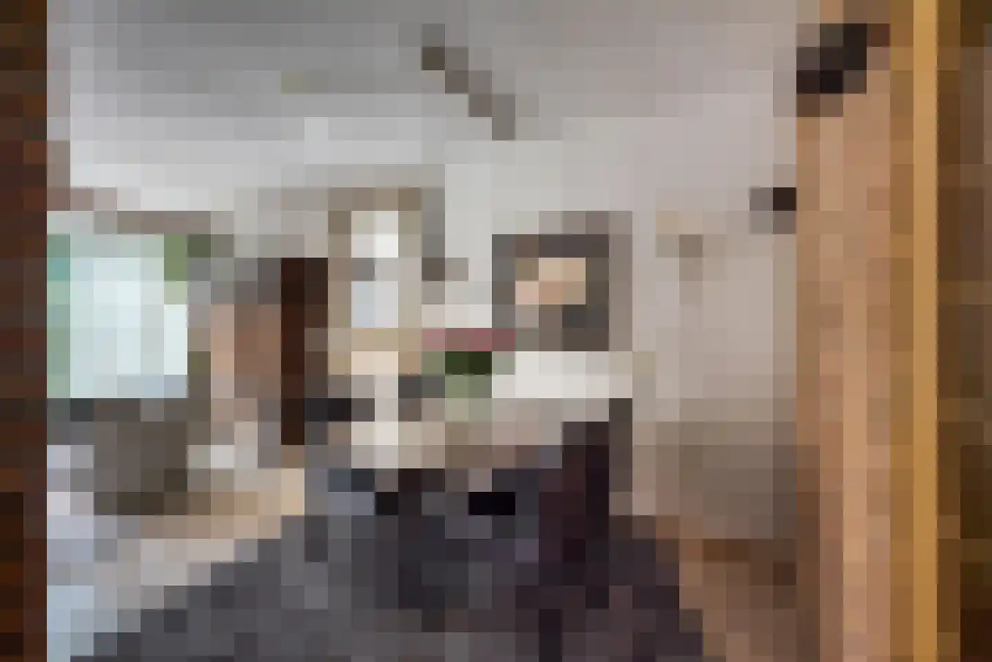 Oude Maar 32 Kerkrade thumbnail 10