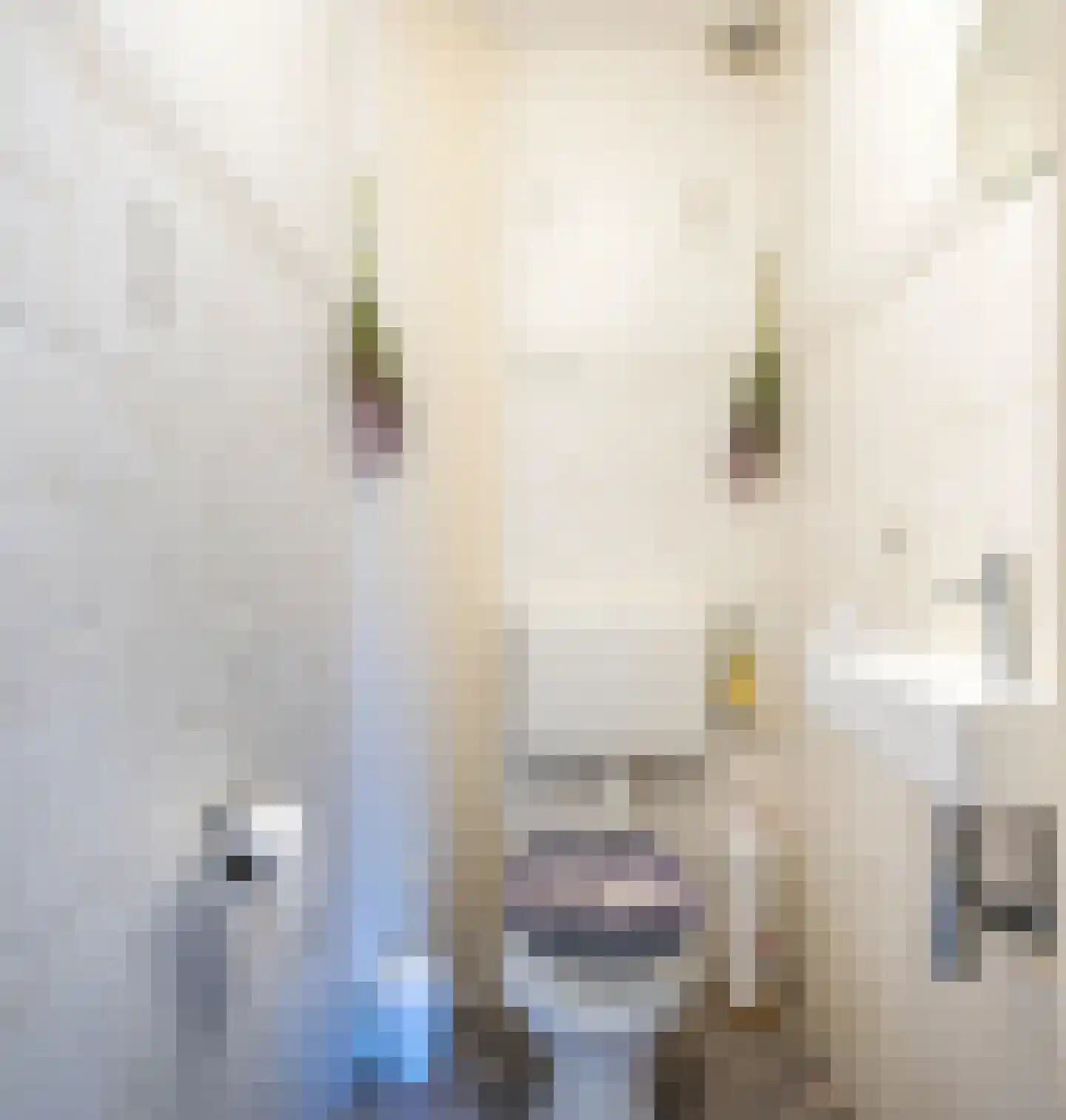 Oude Maar 32 Kerkrade thumbnail 13