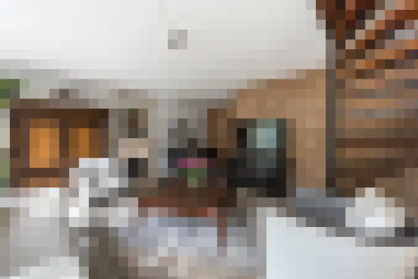 Oude Maar 32 Kerkrade thumbnail 9