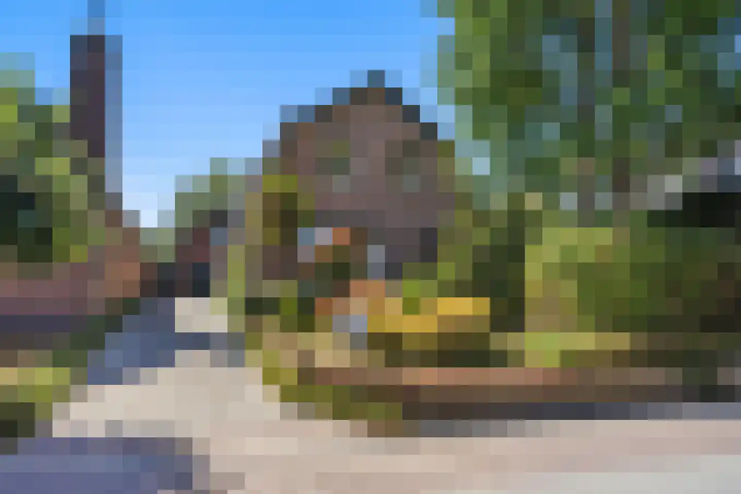 Oude Maasdijk 44 Dreumel