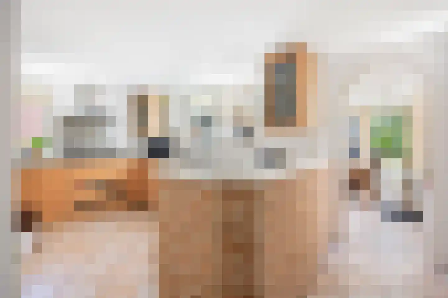 Oude Maasdijk 44 Dreumel thumbnail 13