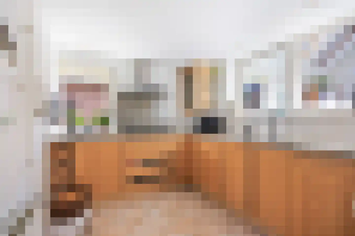 Oude Maasdijk 44 Dreumel thumbnail 14