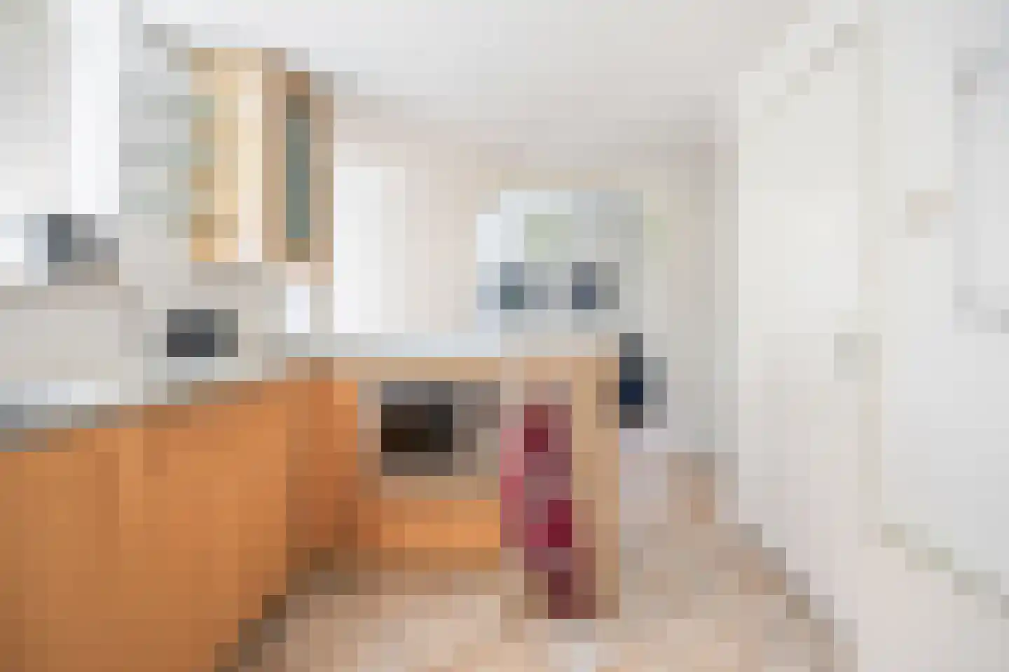 Oude Maasdijk 44 Dreumel thumbnail 16