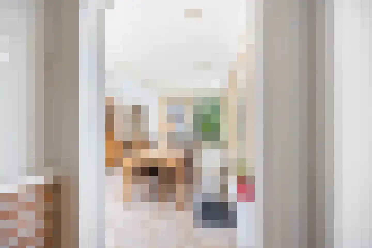 Oude Maasdijk 44 Dreumel thumbnail 19