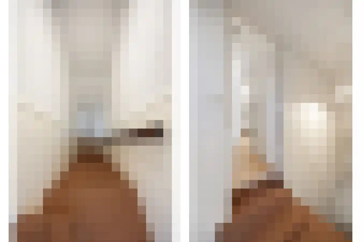 Oude Maasdijk 44 Dreumel thumbnail 25