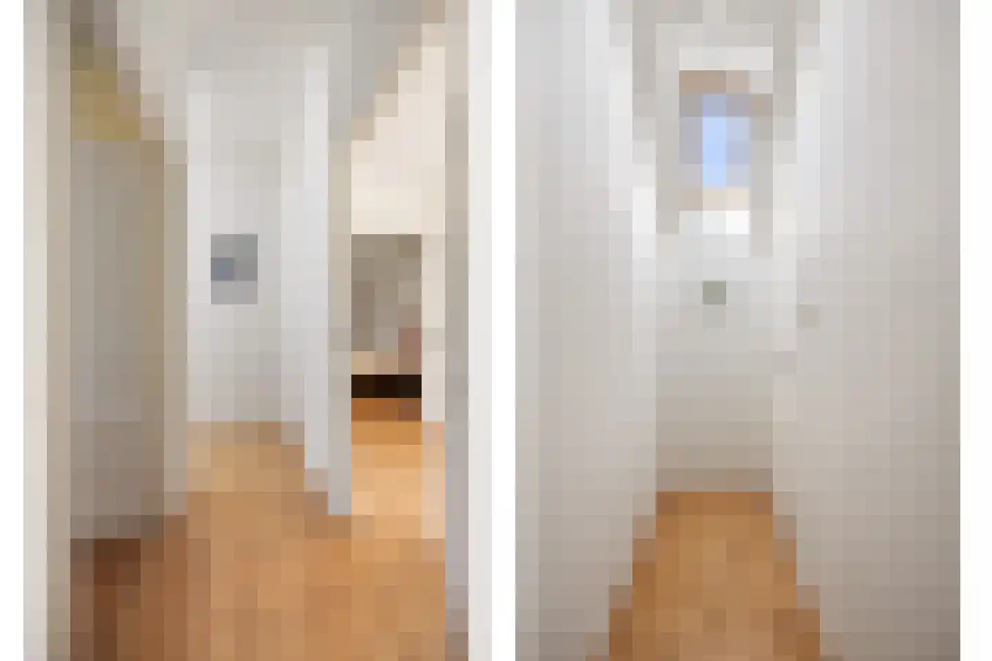 Oude Maasdijk 44 Dreumel thumbnail 26