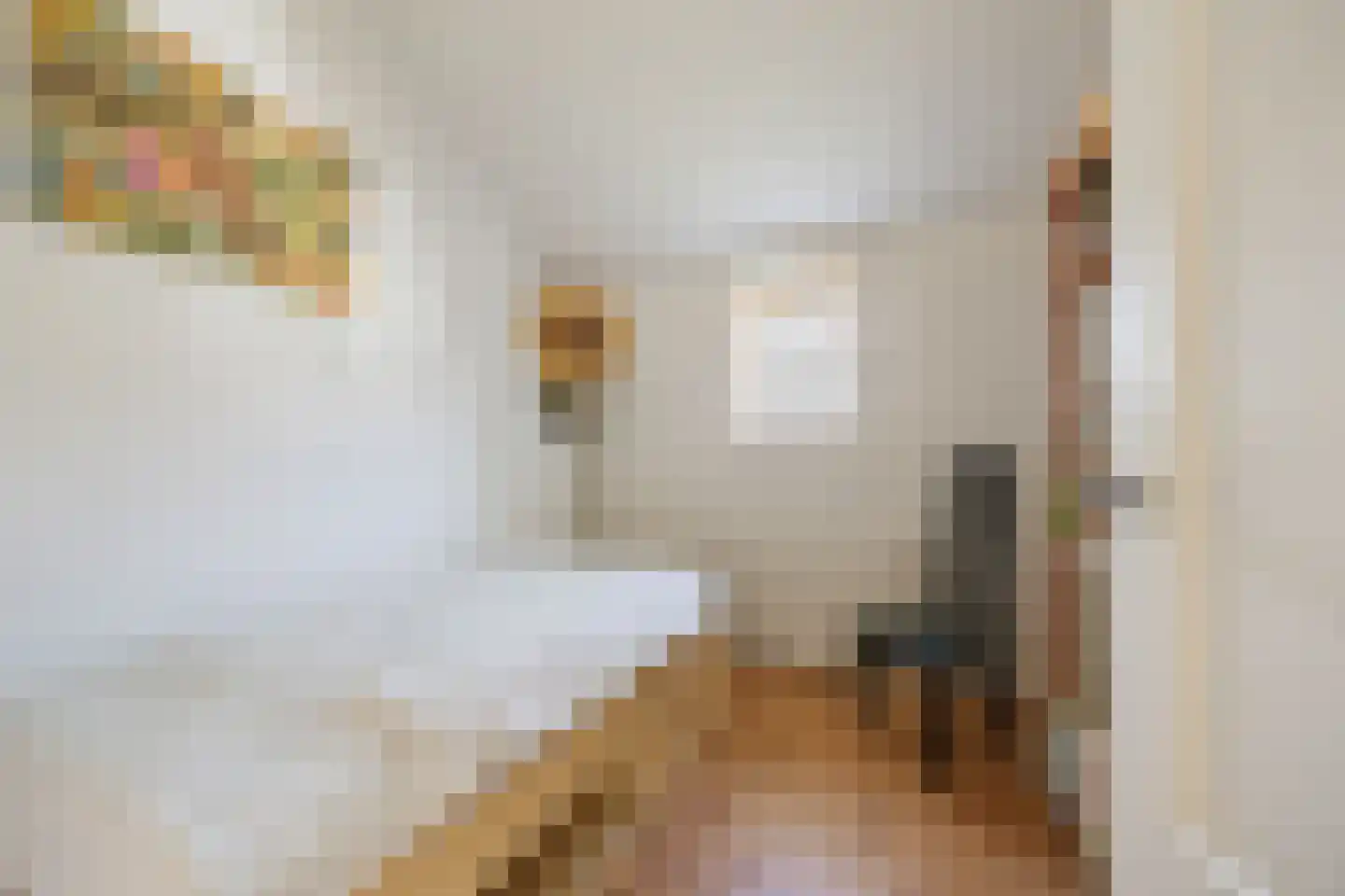 Oude Maasdijk 44 Dreumel thumbnail 32