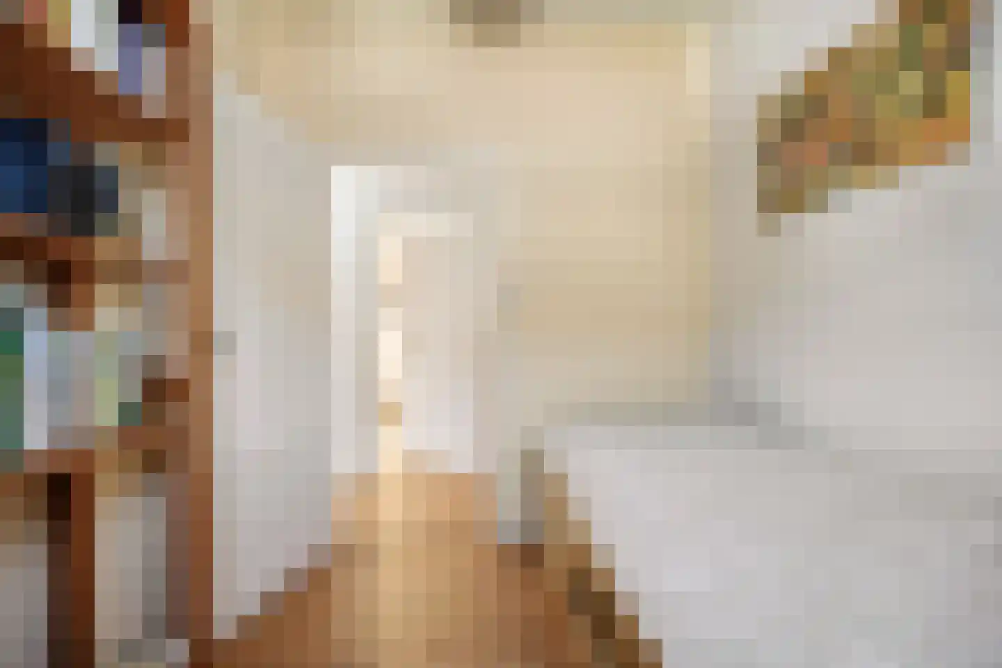 Oude Maasdijk 44 Dreumel thumbnail 33