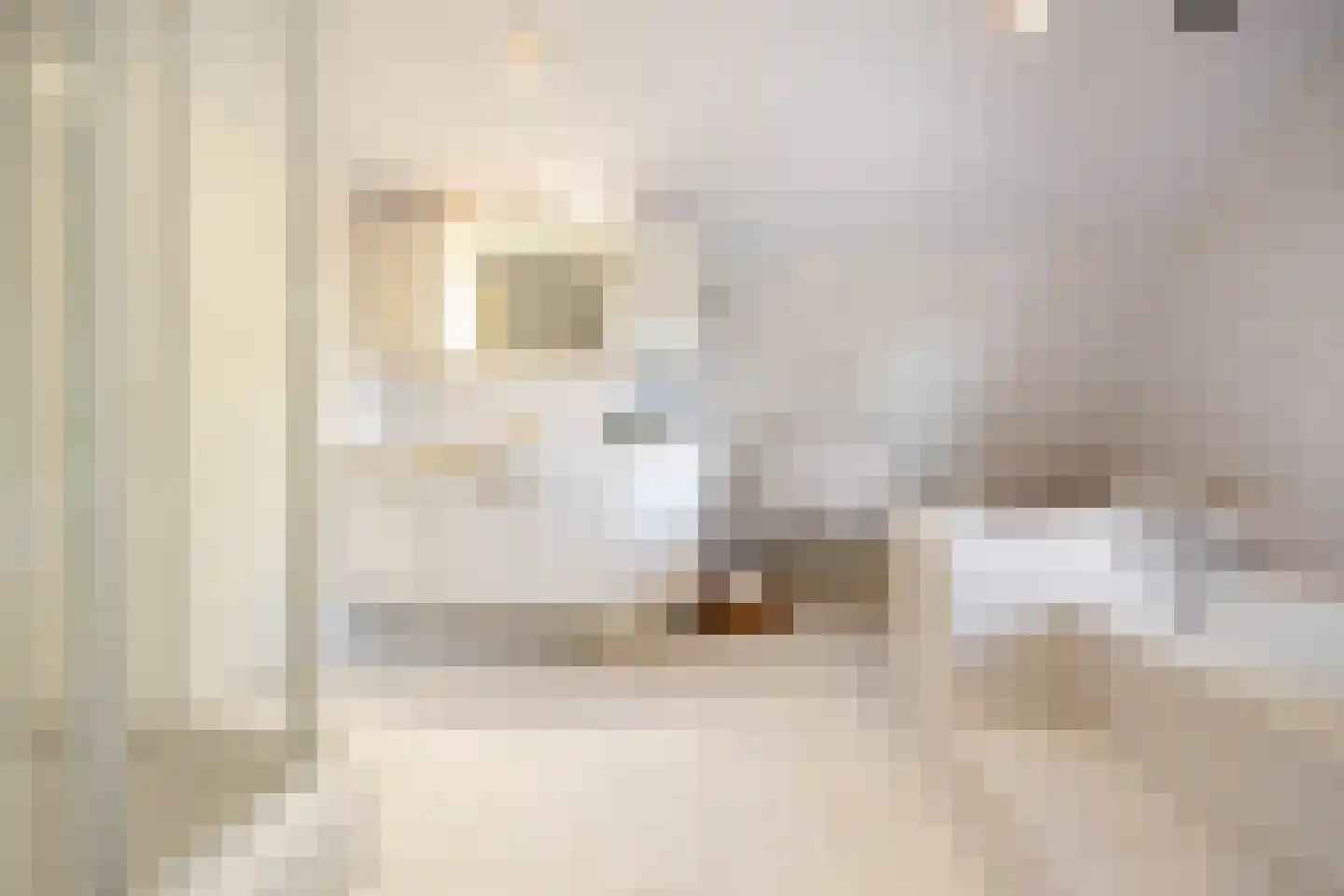 Oude Maasdijk 44 Dreumel thumbnail 37