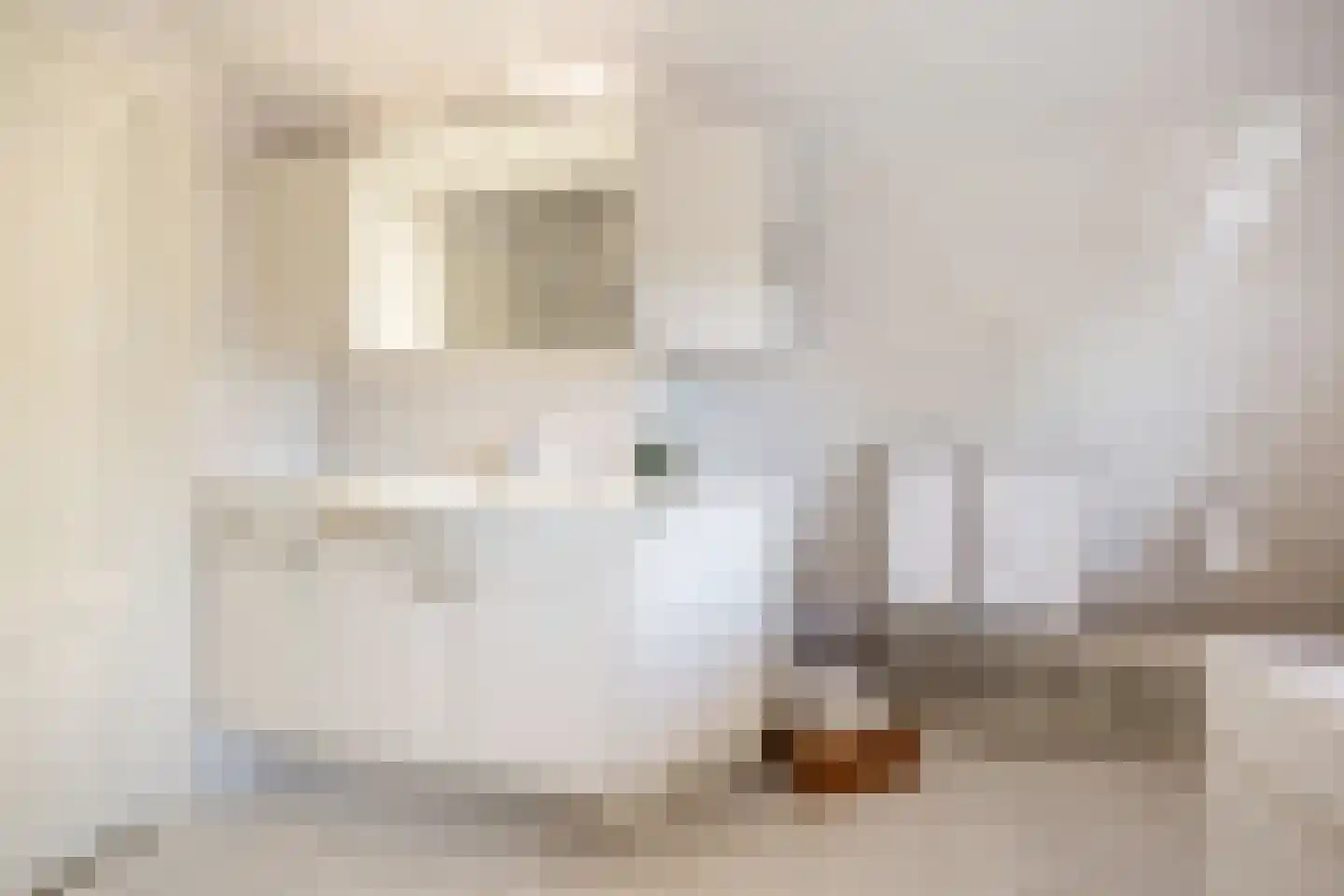 Oude Maasdijk 44 Dreumel thumbnail 38