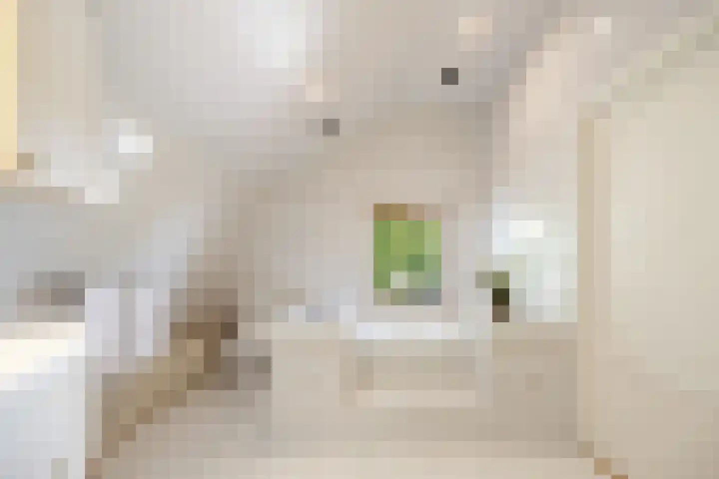 Oude Maasdijk 44 Dreumel thumbnail 39