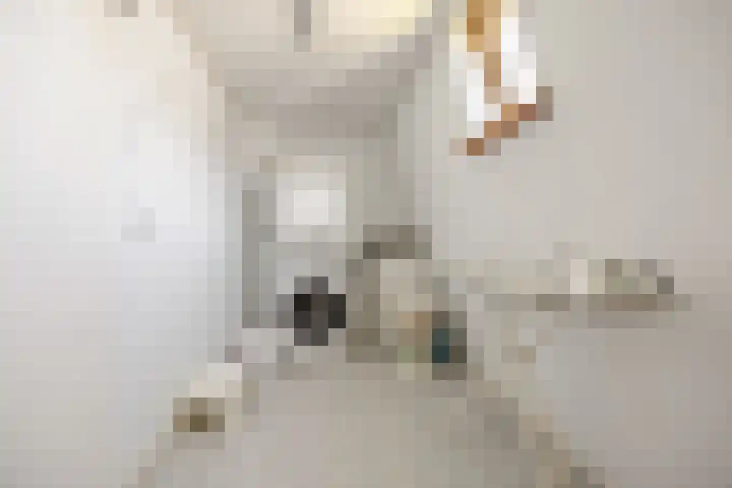 Oude Maasdijk 44 Dreumel thumbnail 41