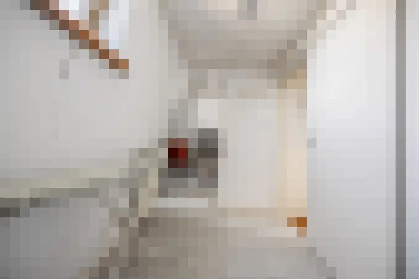 Oude Maasdijk 44 Dreumel thumbnail 42
