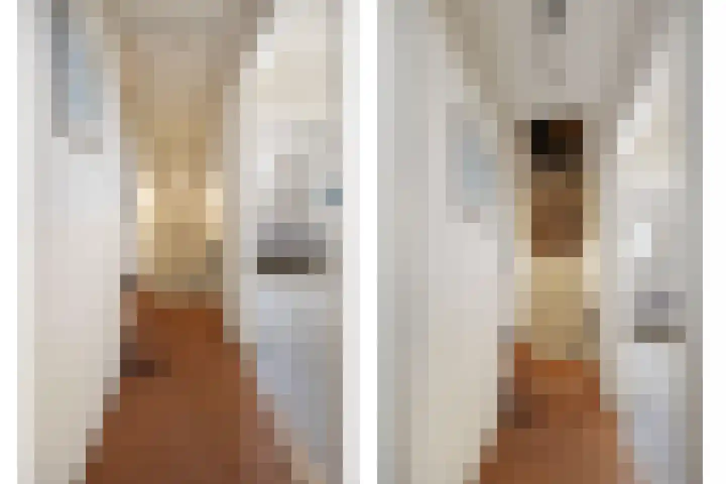 Oude Maasdijk 44 Dreumel thumbnail 43