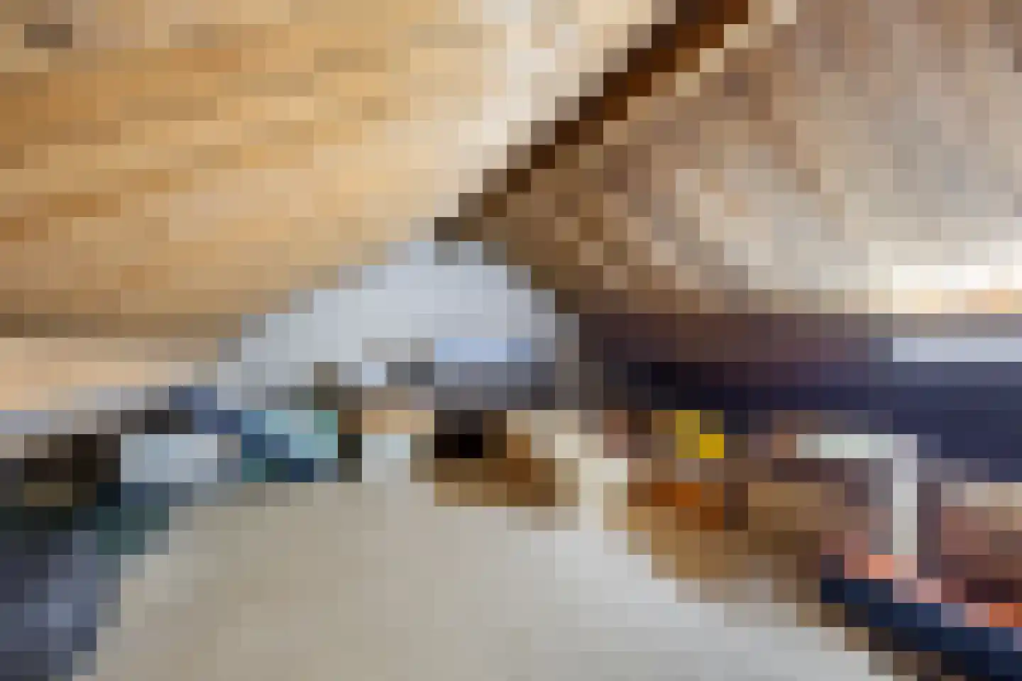 Oude Maasdijk 44 Dreumel thumbnail 44