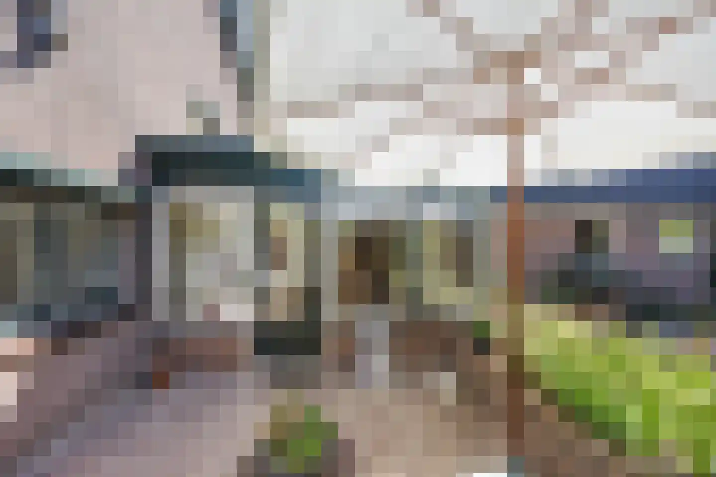 Oude Maasdijk 44 Dreumel thumbnail 45