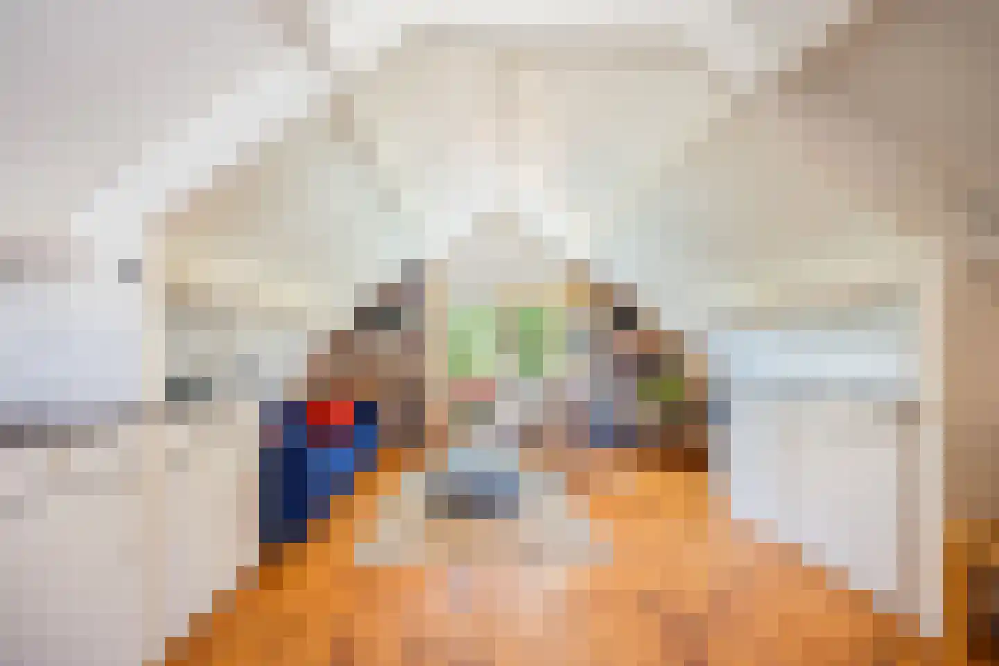 Oude Maasdijk 44 Dreumel thumbnail 49
