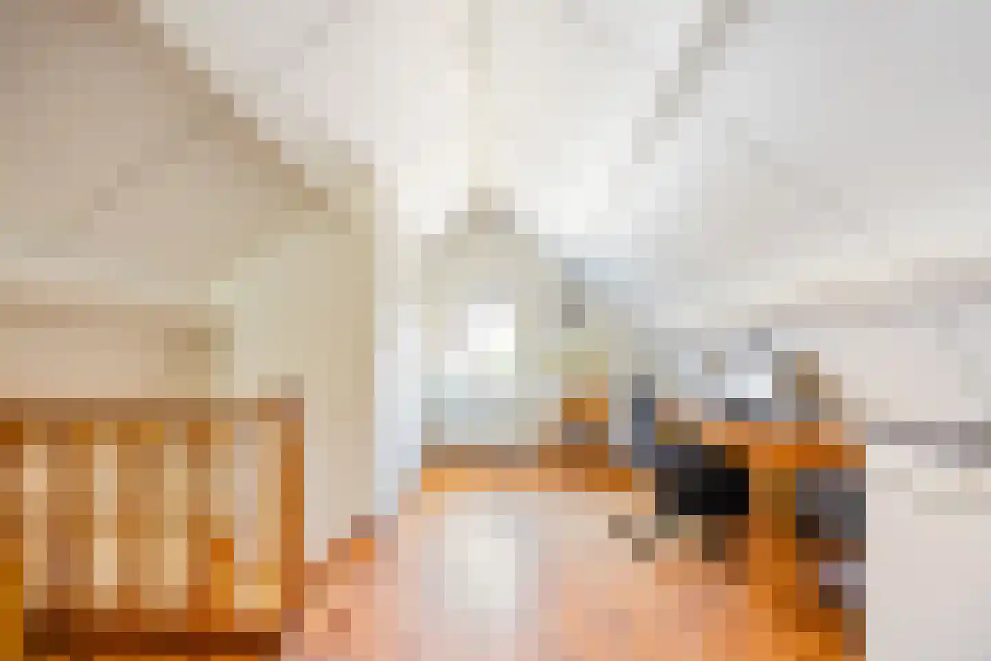 Oude Maasdijk 44 Dreumel thumbnail 51