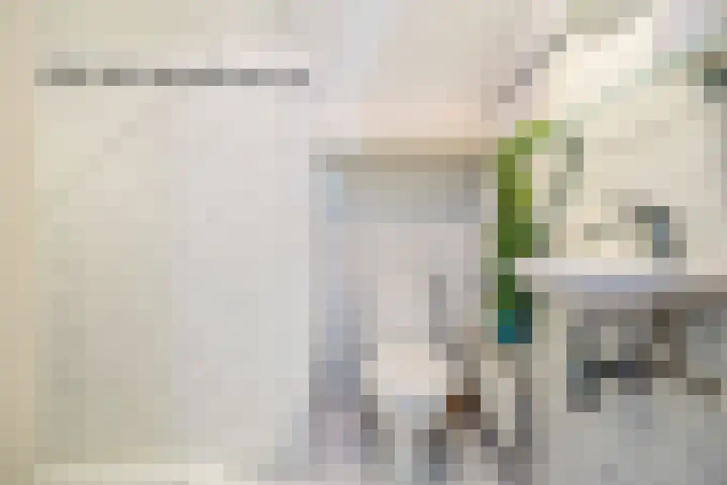 Oude Maasdijk 44 Dreumel thumbnail 52