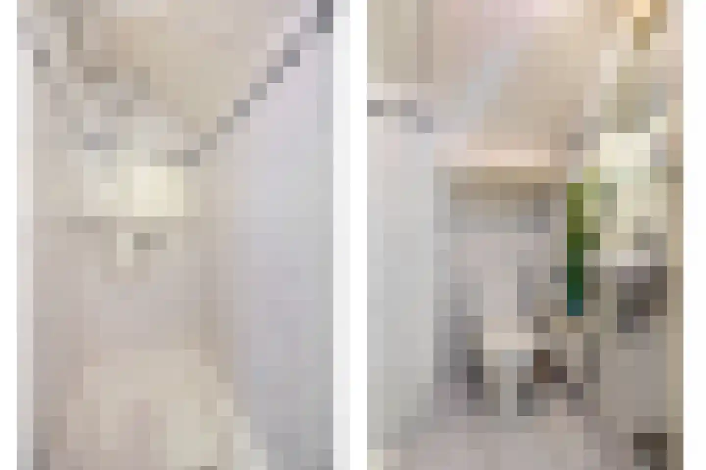 Oude Maasdijk 44 Dreumel thumbnail 53