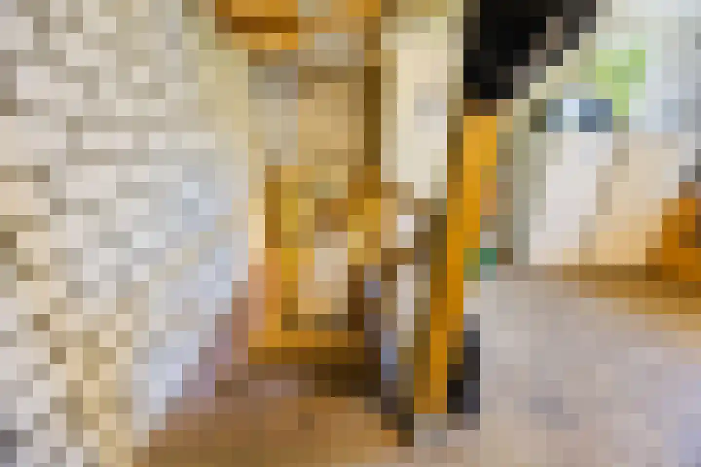 Oude Maasdijk 44 Dreumel thumbnail 55