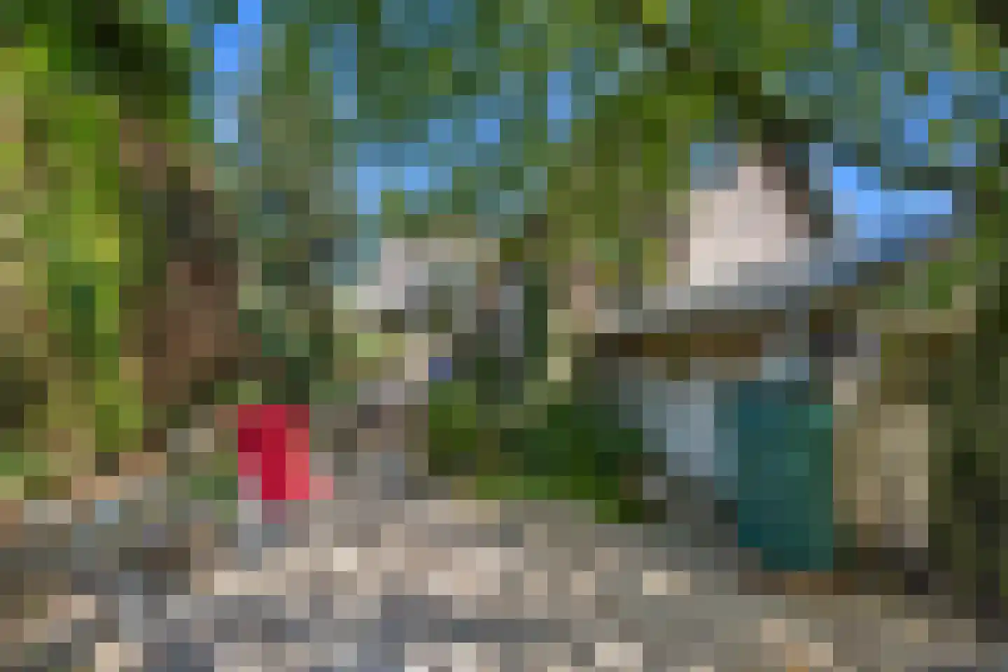 Oude Maasdijk 44 Dreumel thumbnail 59