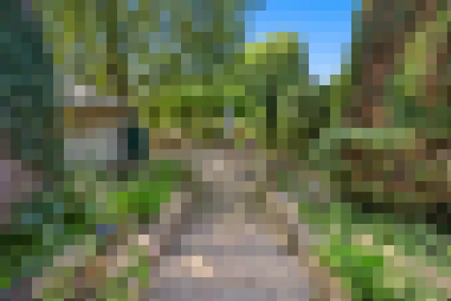 Oude Maasdijk 44 Dreumel thumbnail 60