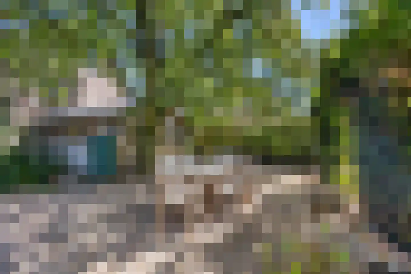 Oude Maasdijk 44 Dreumel thumbnail 61