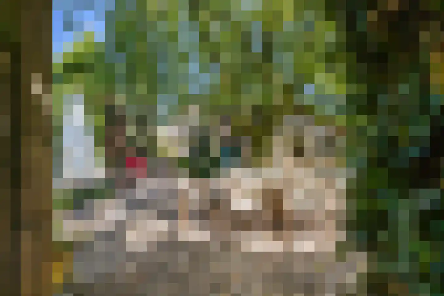 Oude Maasdijk 44 Dreumel thumbnail 62