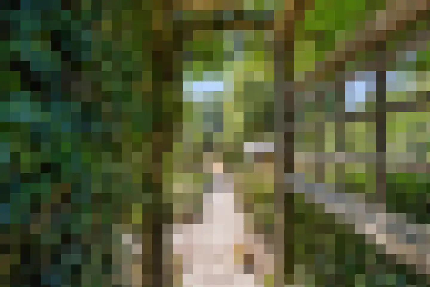 Oude Maasdijk 44 Dreumel thumbnail 63