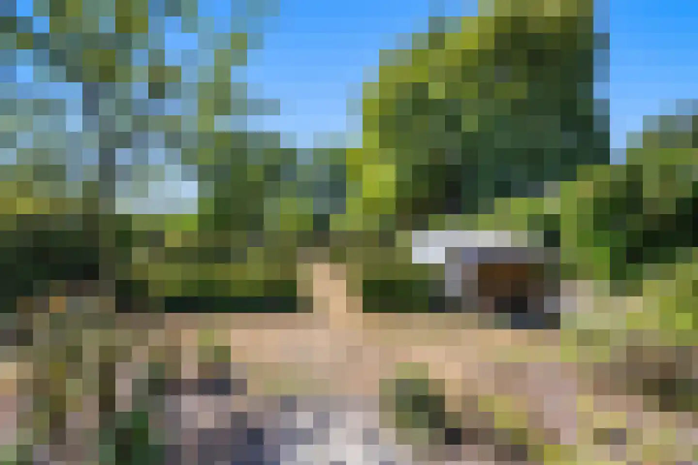 Oude Maasdijk 44 Dreumel thumbnail 64
