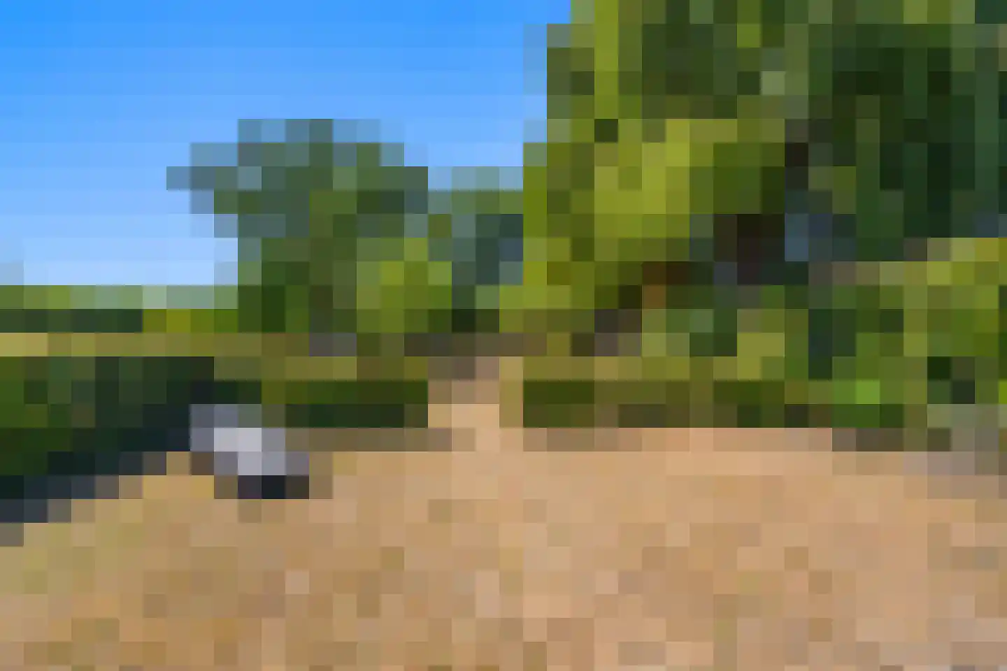 Oude Maasdijk 44 Dreumel thumbnail 65