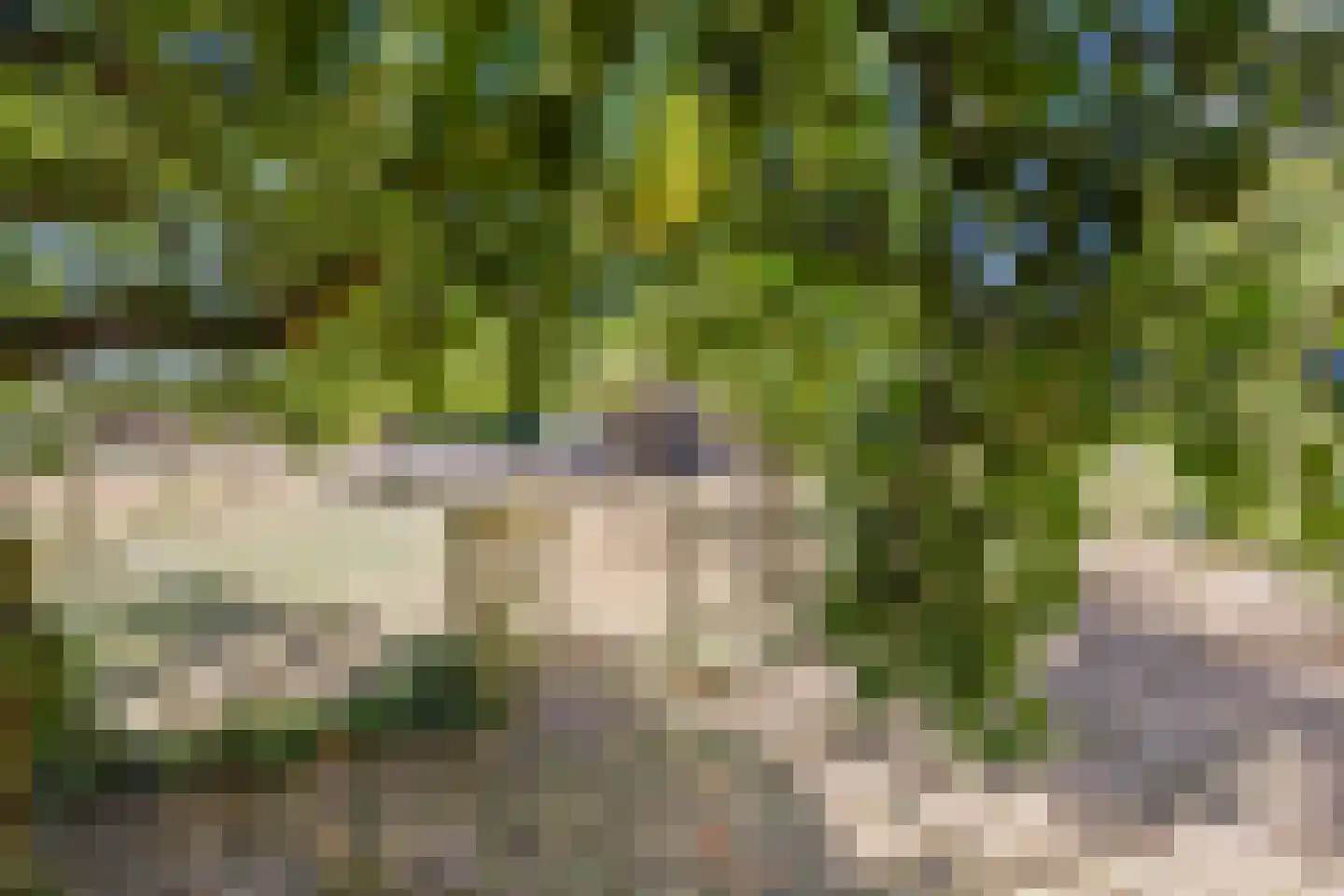 Oude Maasdijk 44 Dreumel thumbnail 66