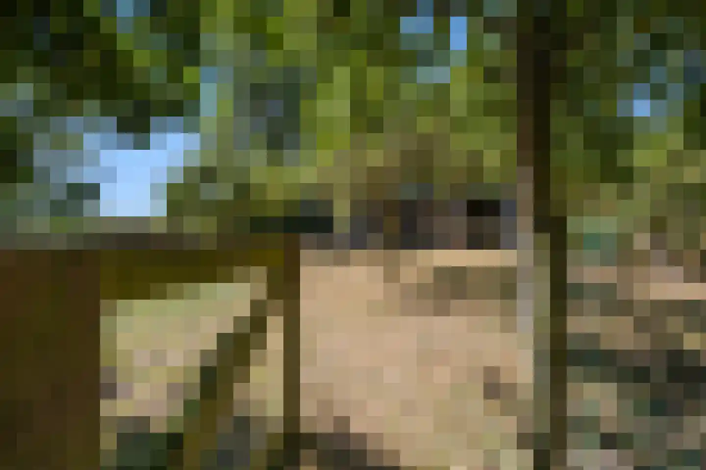 Oude Maasdijk 44 Dreumel thumbnail 67