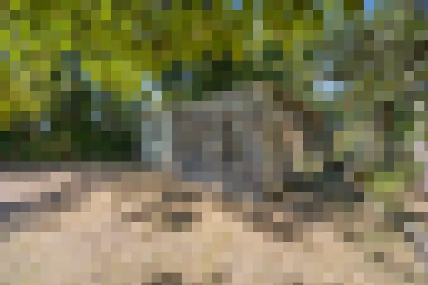 Oude Maasdijk 44 Dreumel thumbnail 68