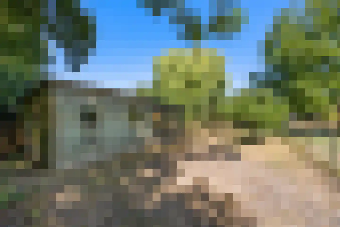 Oude Maasdijk 44 Dreumel thumbnail 71