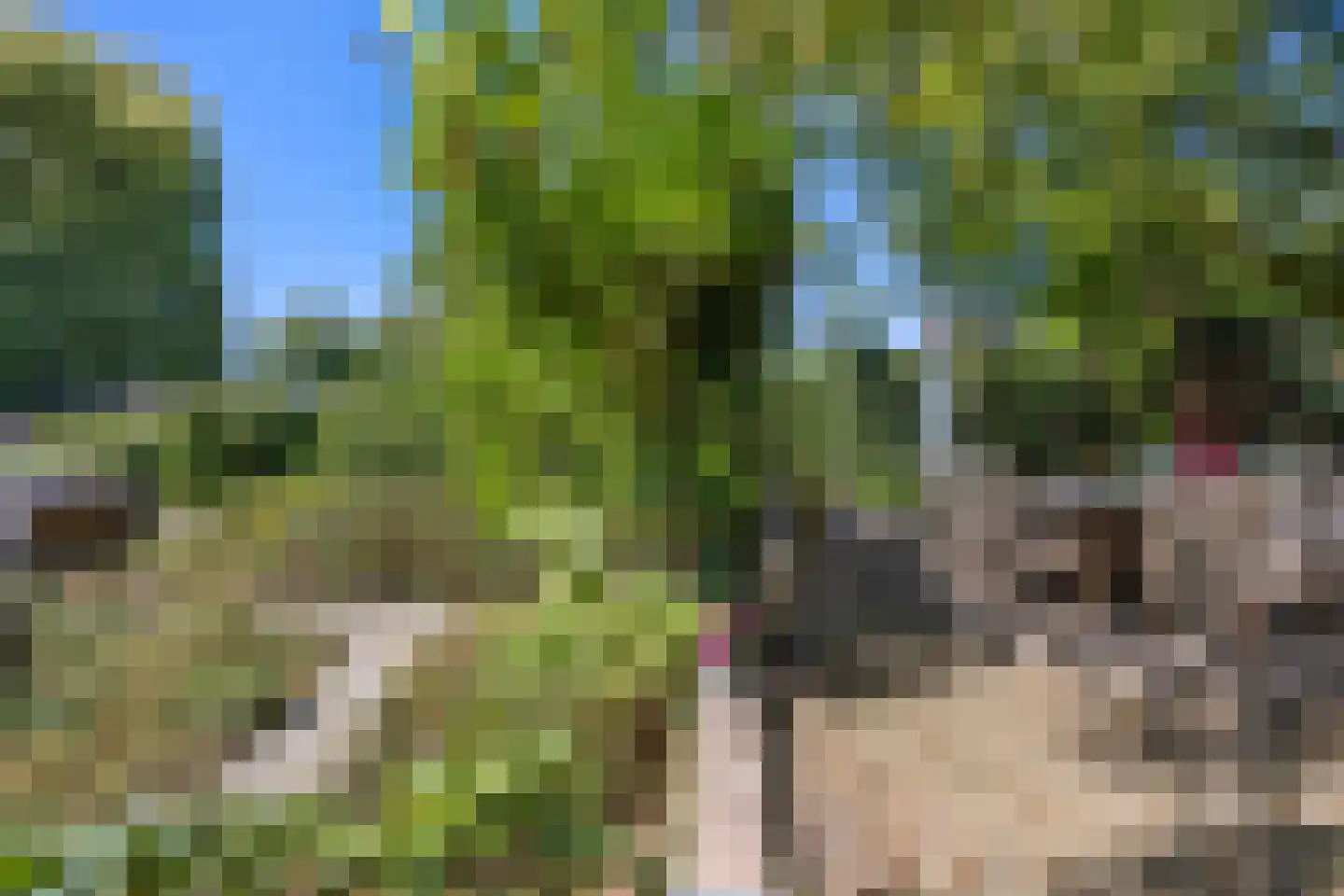 Oude Maasdijk 44 Dreumel thumbnail 72