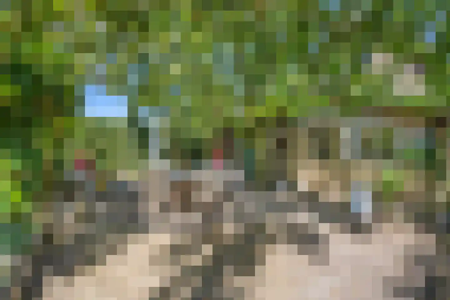Oude Maasdijk 44 Dreumel thumbnail 73