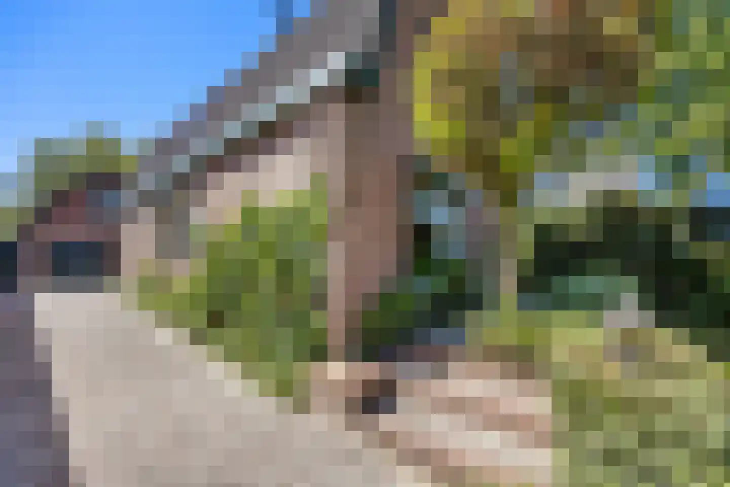 Oude Maasdijk 44 Dreumel thumbnail 76