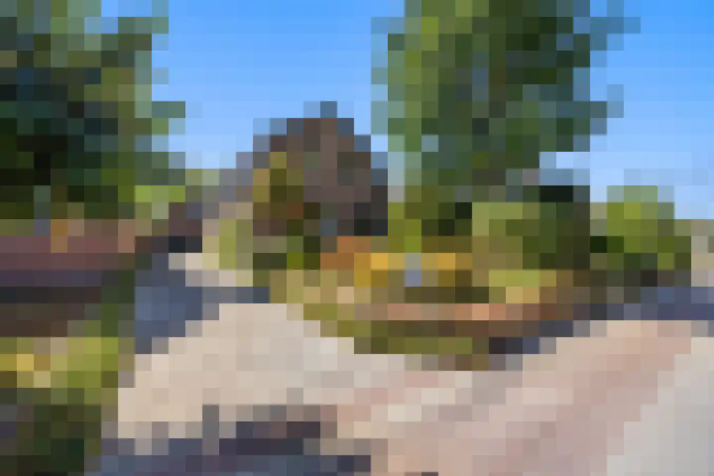 Oude Maasdijk 44 Dreumel thumbnail 77