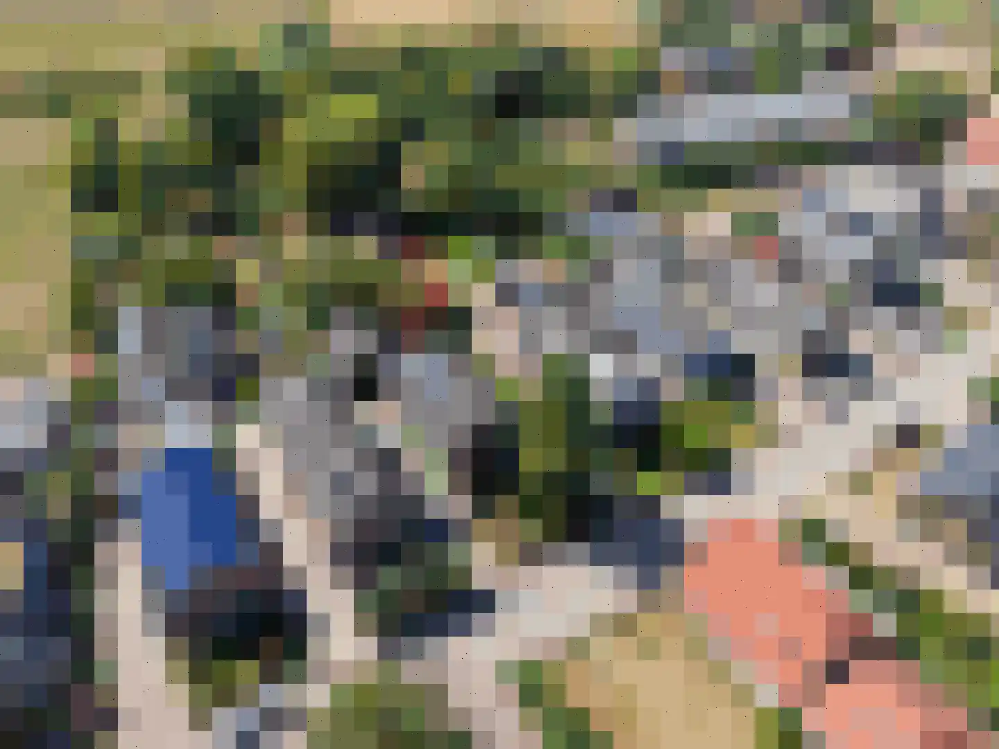 Oude Maasdijk 44 Dreumel thumbnail 79