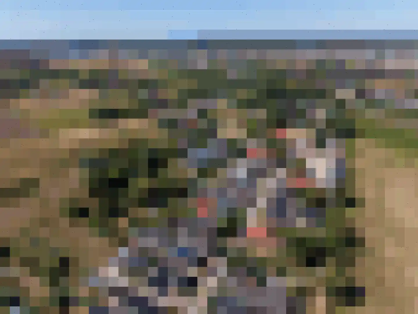 Oude Maasdijk 44 Dreumel thumbnail 80