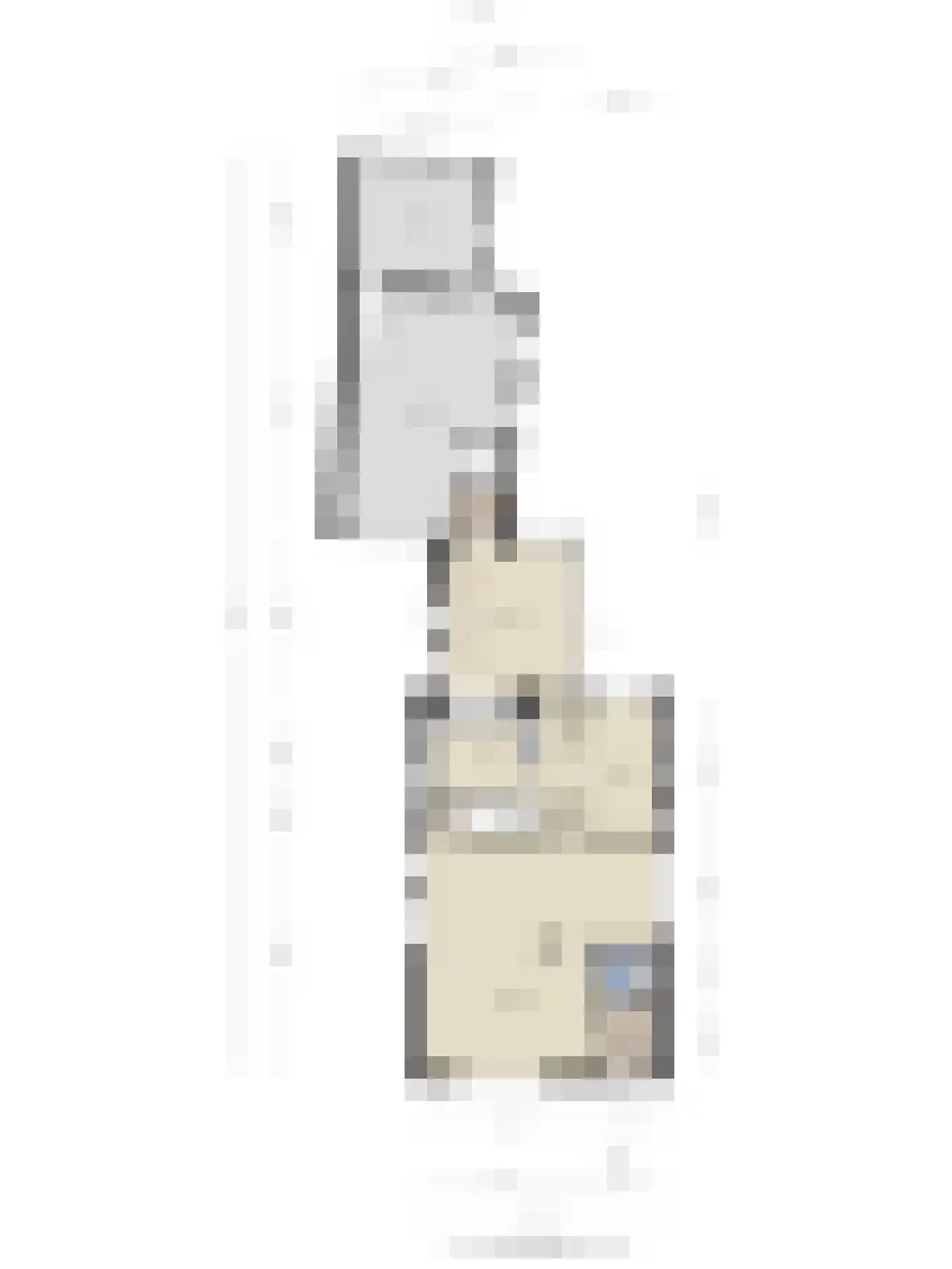 Oude Maasdijk 44 Dreumel thumbnail 89