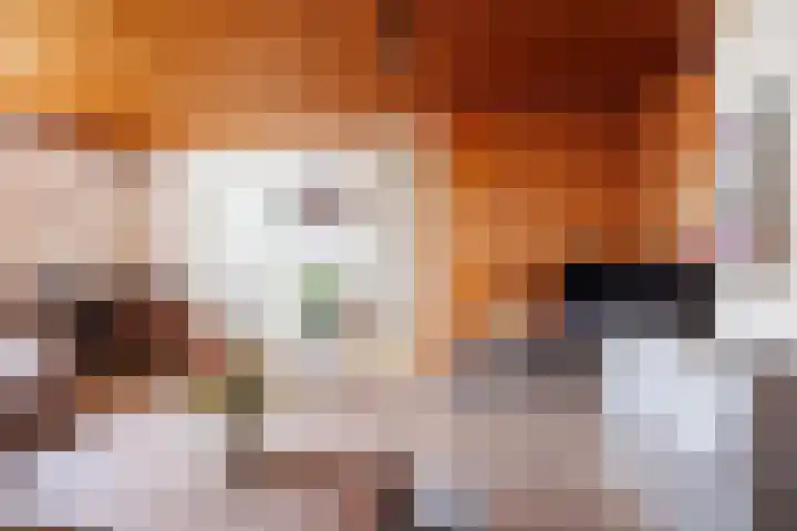 Oude Maasdijk 7 Dreumel thumbnail 10