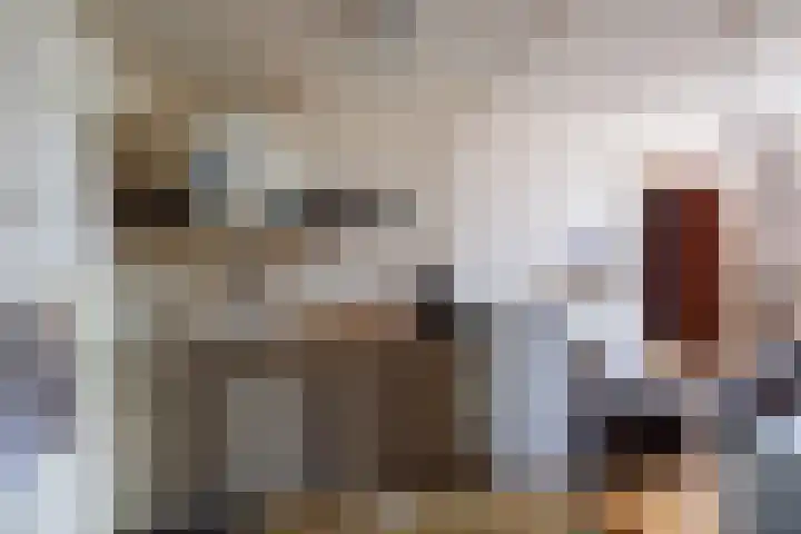 Oude Maasdijk 7 Dreumel thumbnail 13