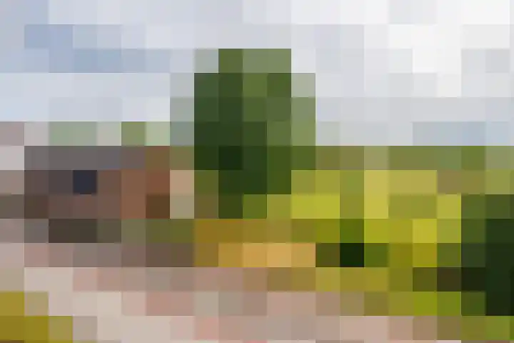 Oude Maasdijk 7 Dreumel foto 3