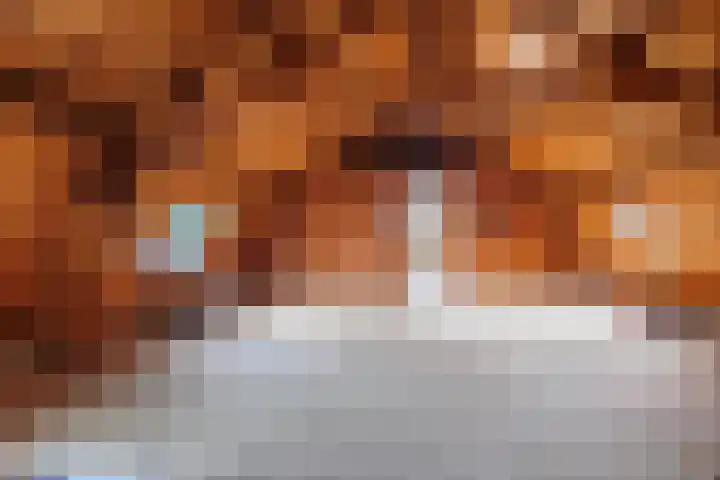 Oude Maasdijk 7 Dreumel thumbnail 30
