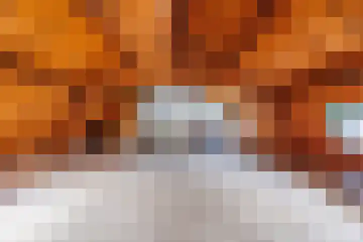 Oude Maasdijk 7 Dreumel thumbnail 31