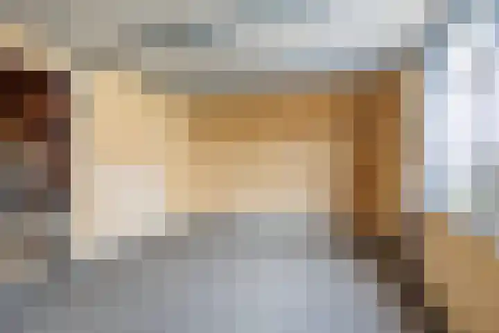 Oude Maasdijk 7 Dreumel thumbnail 33